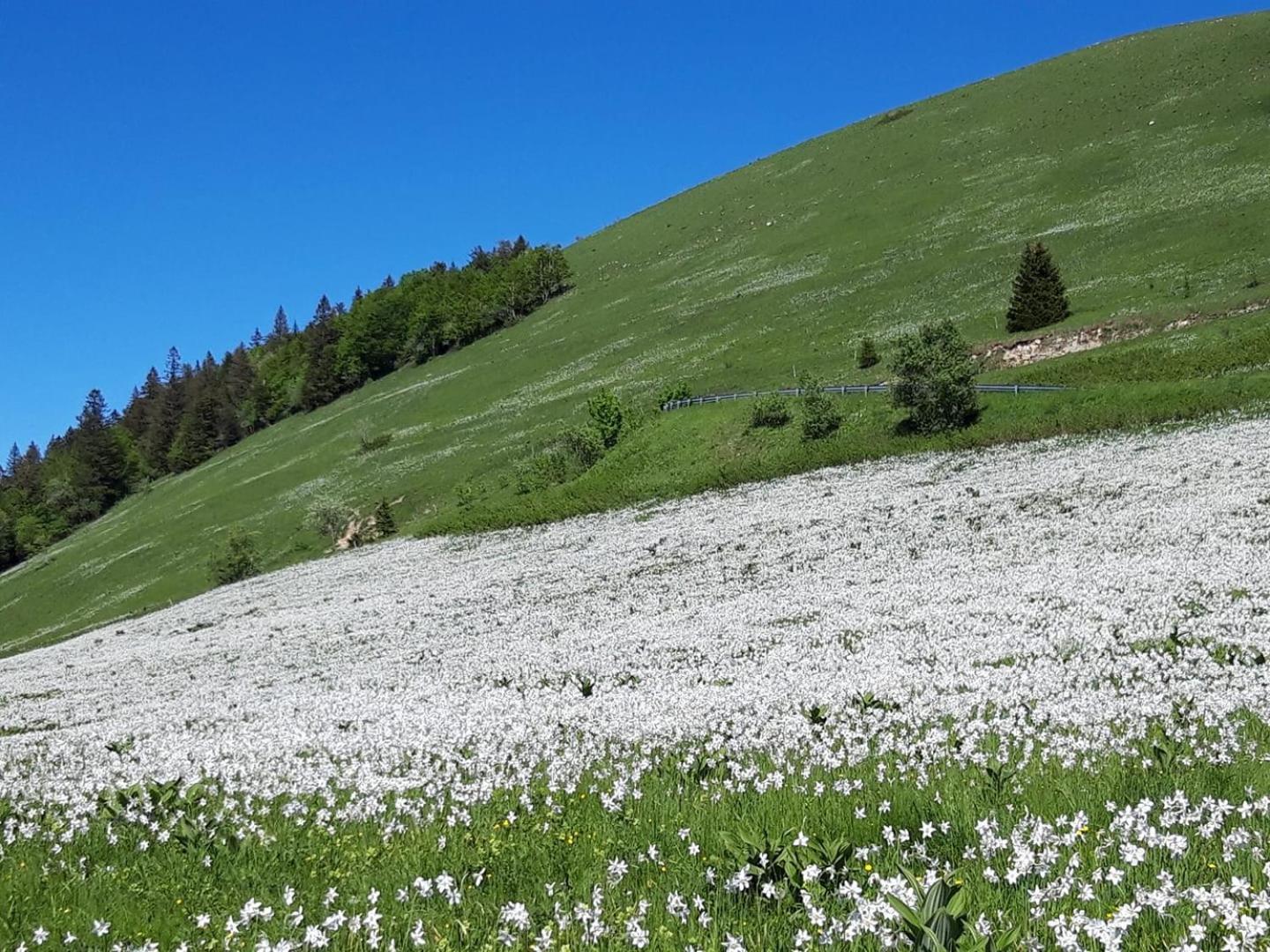 Valreley, Chambres Et Table D'Hotes Eco-Friendly Avec Bain Nordique Au Sud Du Massif Du Jura Champagne-en-Valromey Exteriér fotografie